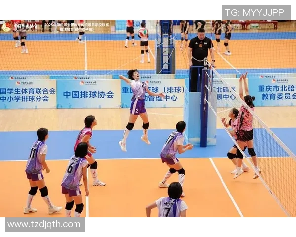 南京排球队的防反战术解析与深度剖析排球比赛中的关键策略 南京排球队的防反战术解析与深度剖析排球比赛中的关键策略