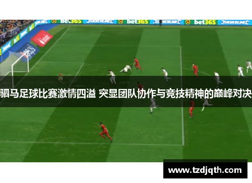 驷马足球比赛激情四溢 突显团队协作与竞技精神的巅峰对决